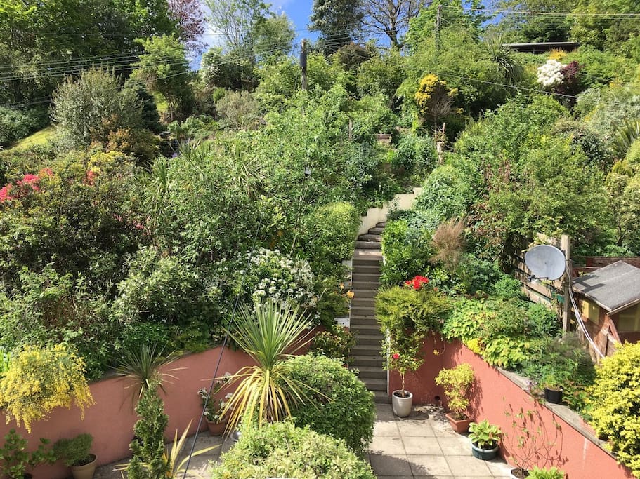 Looking out to back garden and patio