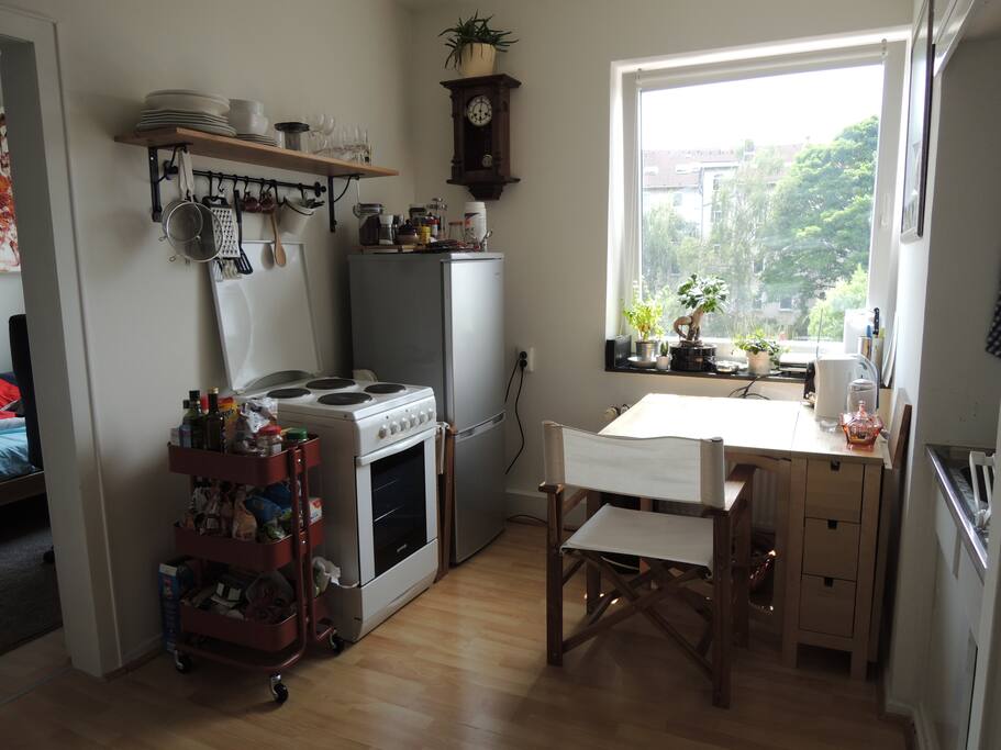 Kitchen/Livingroom view 1