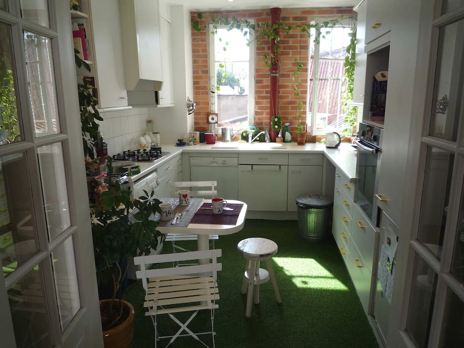 The garden in the kitchen with its morning sunlight