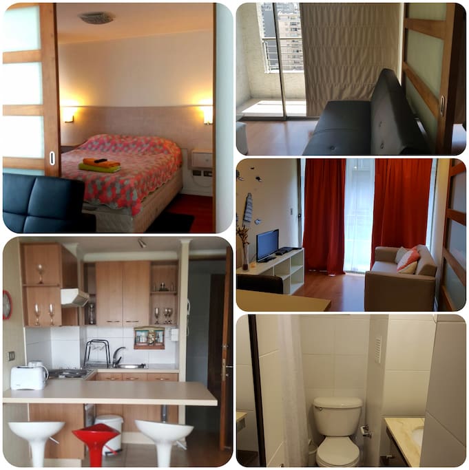 Departamentos amoblados, cuentan con cocina tipo americana, completamente equipada; cama matrimonial; sofá cama; baño; wifi propio del departamento; TV cable.
Son muy solicitados por su cercanía a Universidades, Clínicas, Hospitales, Bancos, Supermercados. Ademas se encuentran a 15 minutos a pie del Centro De Santiago.
Excelente locomoción, a una cuadra de la Estación del Metro Parque Bustamante y Metro Santa Isabel.
En la comuna De Santiago.