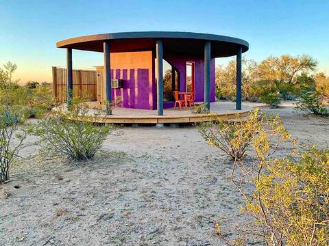 Time Capsule in the Sonoran Desert