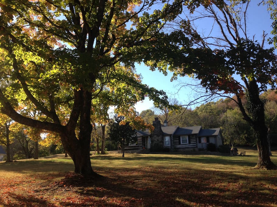 View of the property