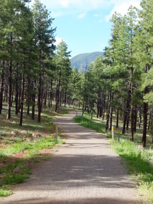 Urban trail system starts directly across the street - perfect for walking, running or mountain biking