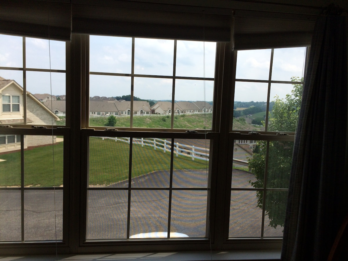 A large window offers views of the neighborhood, featuring well-maintained homes and grassy areas. The glass panes are divided into squares, allowing natural light to brighten the interior space. A green tree is visible outside, complementing the scenery.