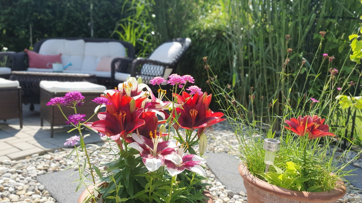 A vibrant garden scene features an array of colorful flowers, including red lilies and purple blooms, arranged in terracotta pots. In the background, a comfortable seating area is visible, surrounded by lush greenery and decorative garden elements that invite relaxation.