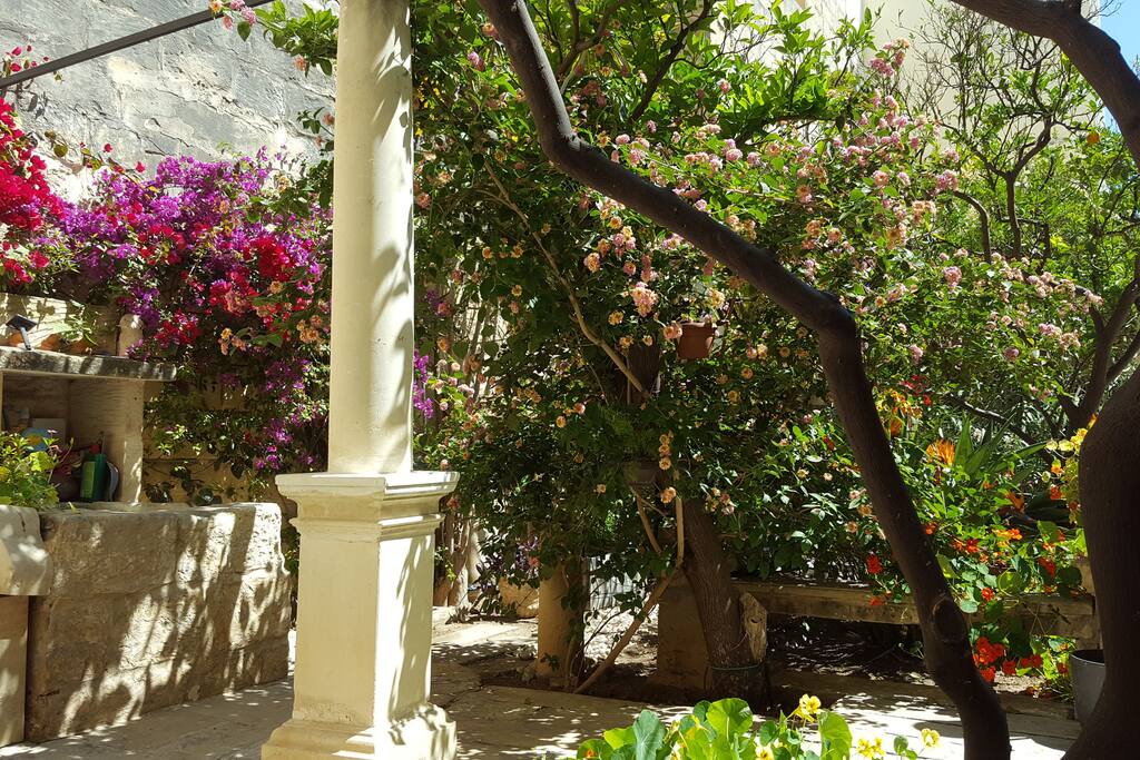 Garden with wells