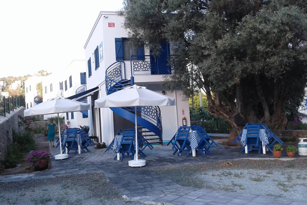 A view from our garden and cafeteria