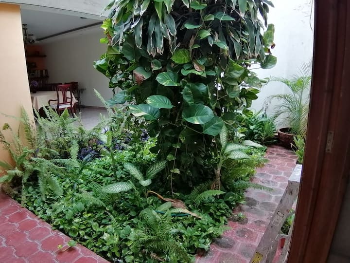 Მსუბუქი სათლი, ლამაზი შიდა ბაღით, სასადილო ოთახთან ახლოს, მწერებისგან დამცავი ბადით.