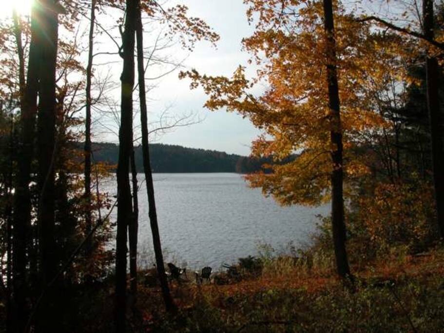 Lake frontage, chairs (dock and raft at left behind trees) - - click to see full photo