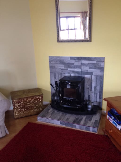 Solid fuel stove