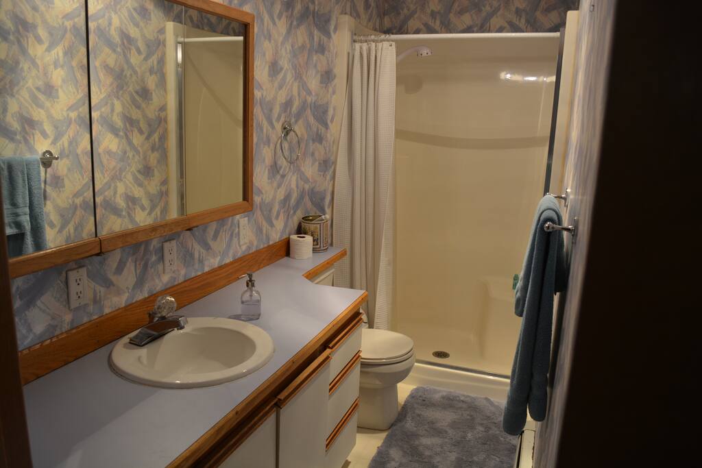 Bath area