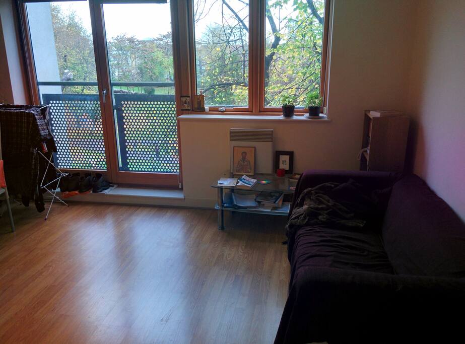 Shared living room with dining table