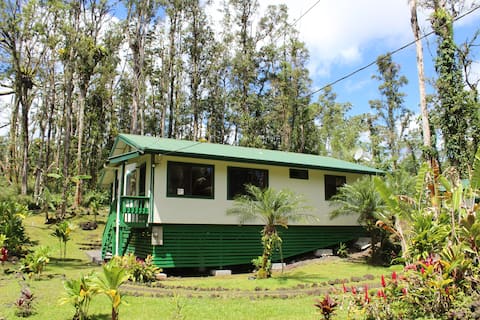 Hale Ohia Nui Nestled in the Forest