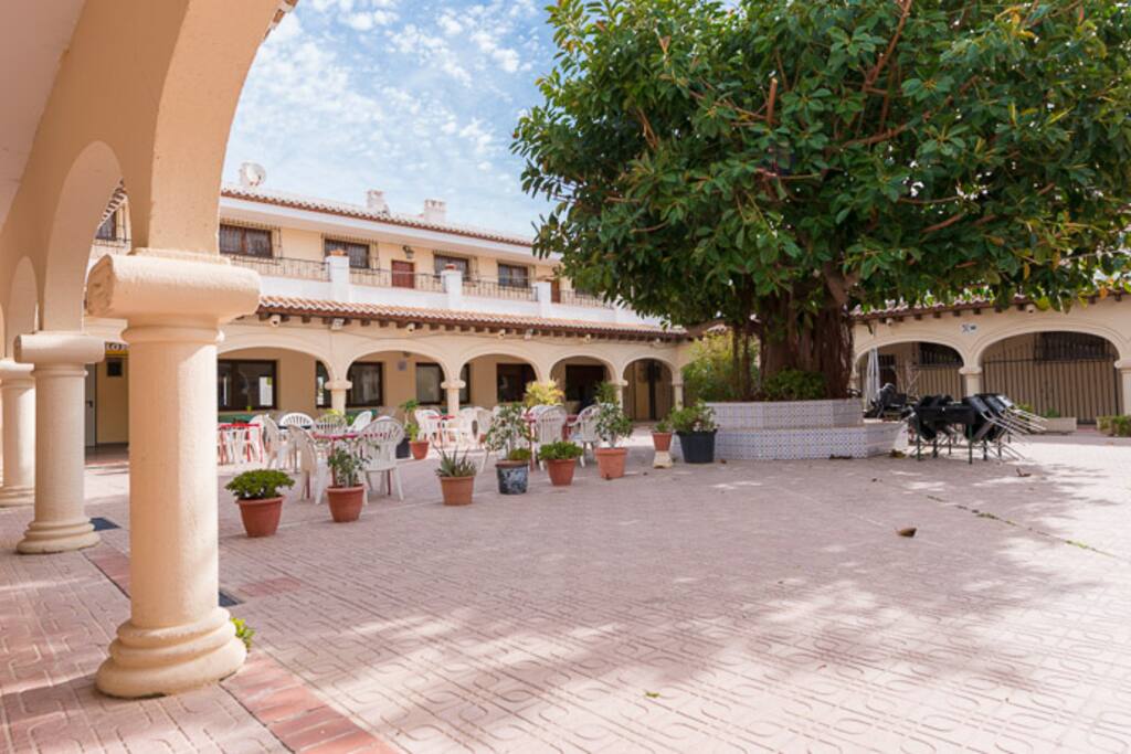Courtyard at the back of the appartment, and where you can enjoy the terrace