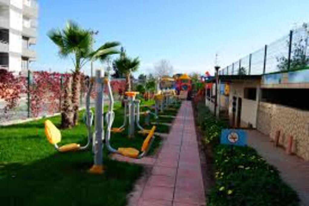 Park and Sports Field