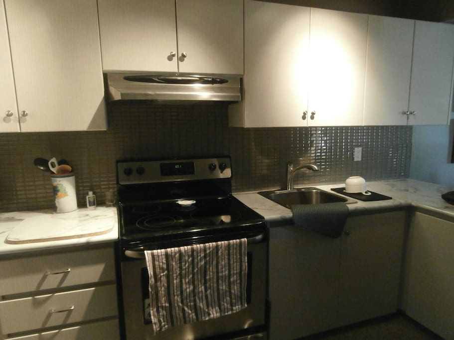 Renovated kitchen with stainless steel appliances