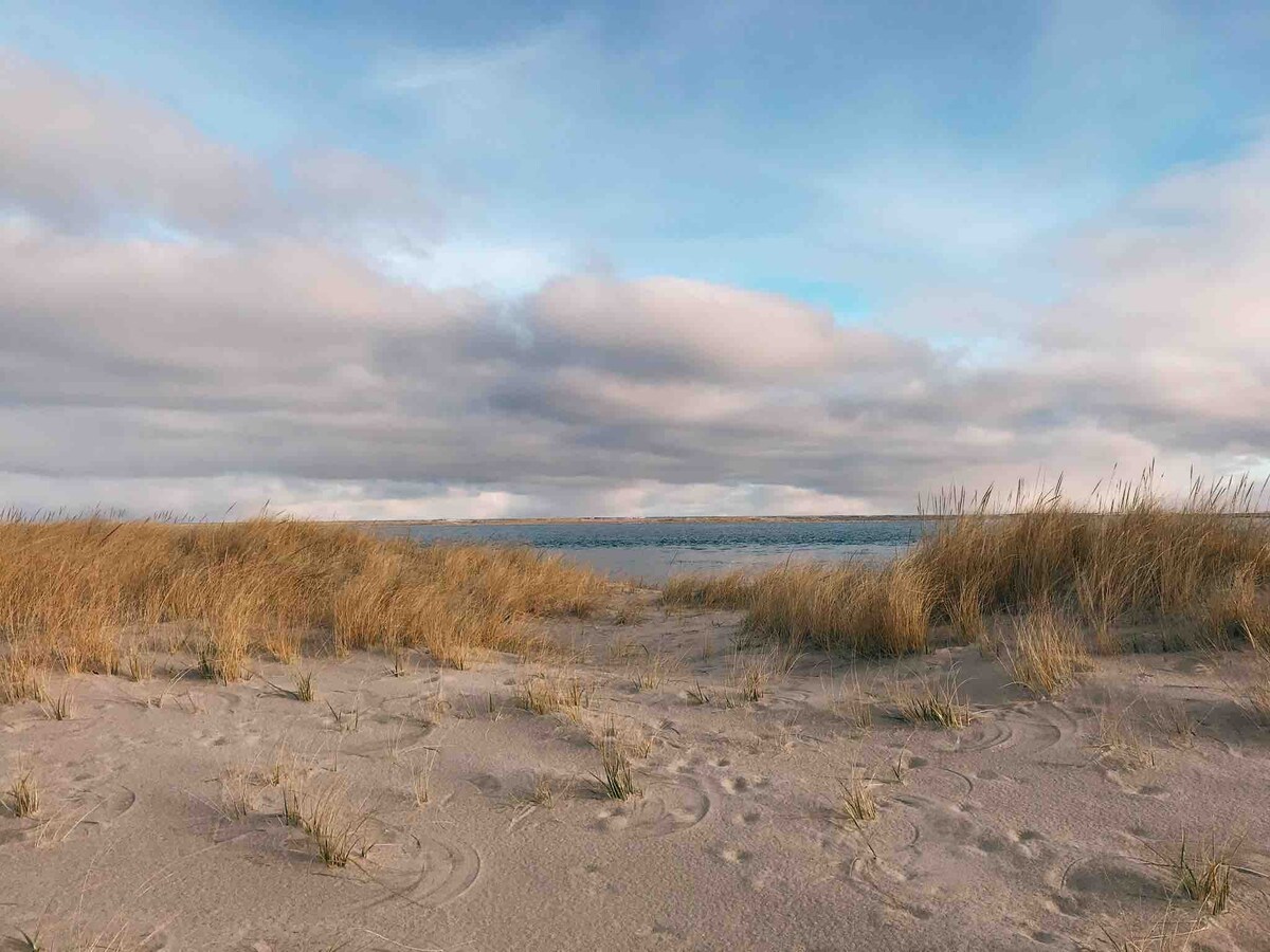 A serene beach scene displays soft, sandy dunes adorned with tufts of tall grass, gently swaying in the breeze. The calm ocean stretches into the distance under a cloudy sky, offering a tranquil natural setting.