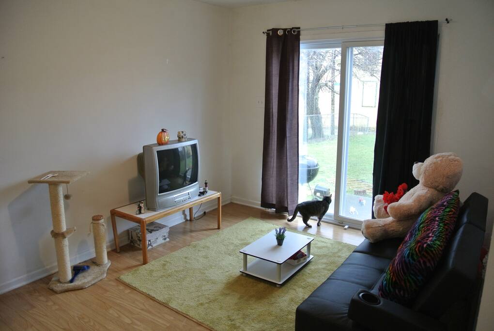 The living room, can you spot the small cat there?