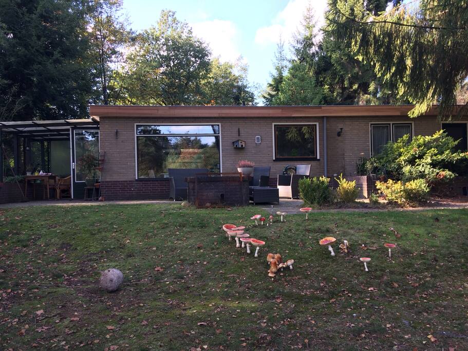 Tuinkant van het huis. Het afdak wordt in november '17 vernieuwd, zodat je altijd beschut buiten kunt zitten. Hout voor de buitenhaard is bij de prijs inbegrepen.