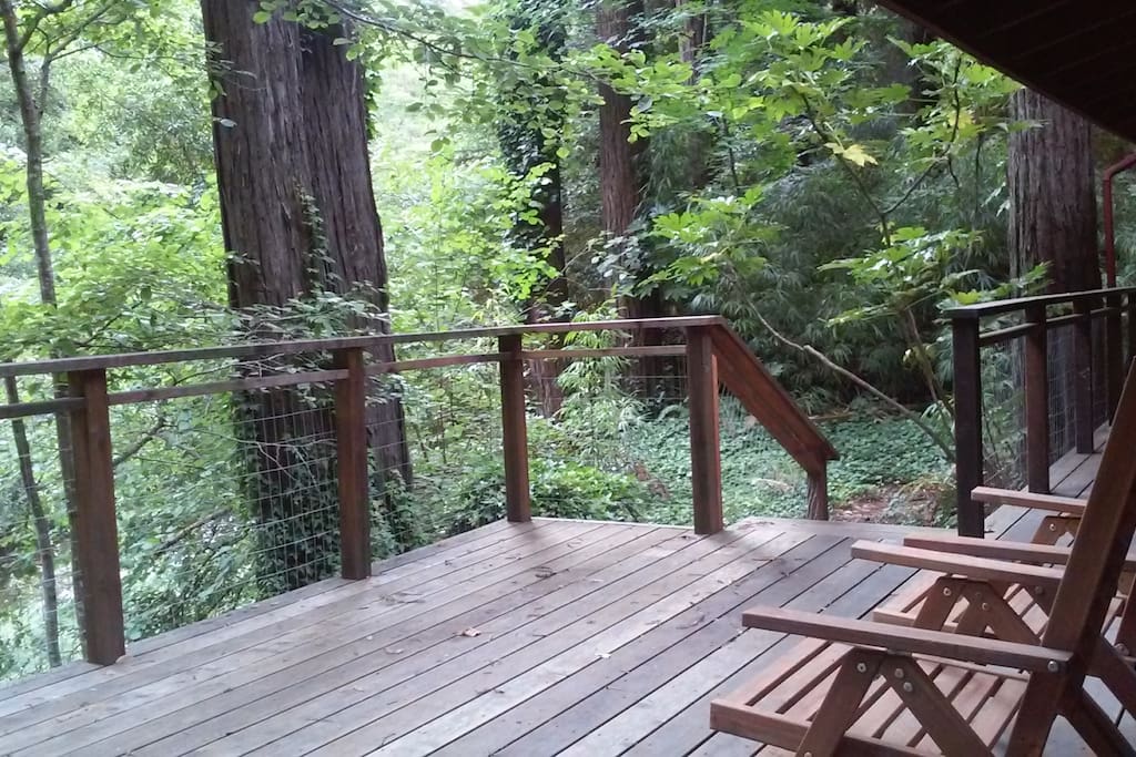 View of our garden from the deck
