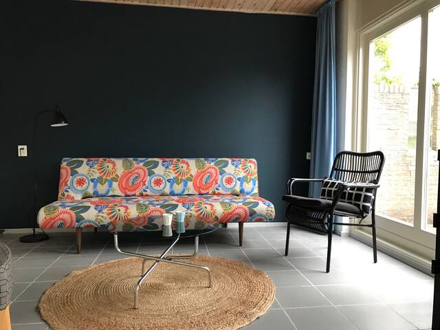 TEXEL Lovely bungalow and garden near dunes&beach