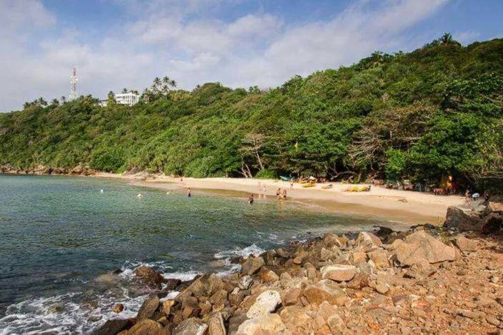 Beautiful Jungle beach