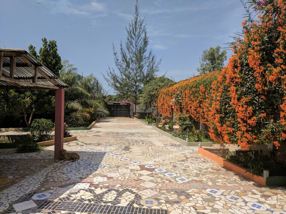 Drive way entrance with gate