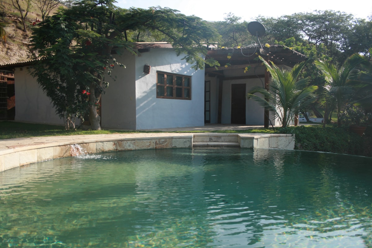 A serene swimming pool reflects the surrounding greenery, showcasing a smooth stone edge. In the background, a simple white structure with wooden windows is partially visible under a sloping roof. Lush plants frame the area, enhancing the sense of tranquility.