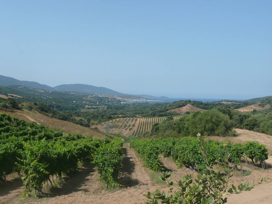 vue sur mer