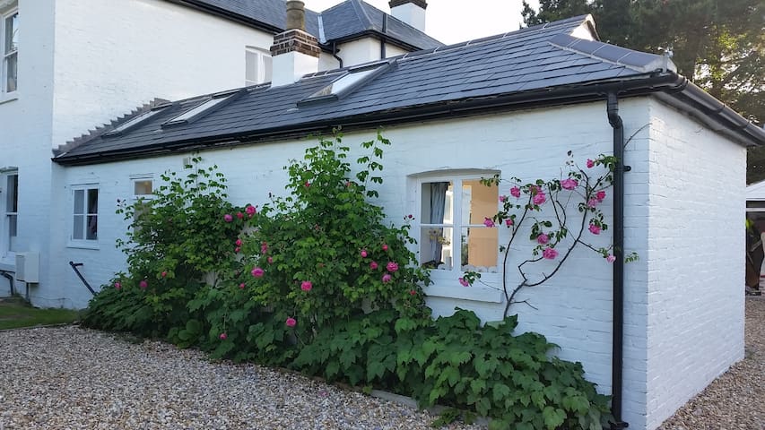 Airbnb Up Marden Holiday Rentals Places To Stay England