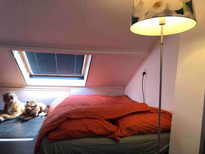 1 cama de matrimonio en el ático. Se proporcionan almohadas, edredones, sábanas. 