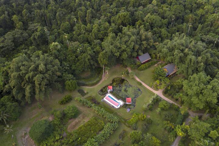 Lillypads Red Cottage Rainforest Tranquility Cottages For Lillypads Red Cottage Rainforest
