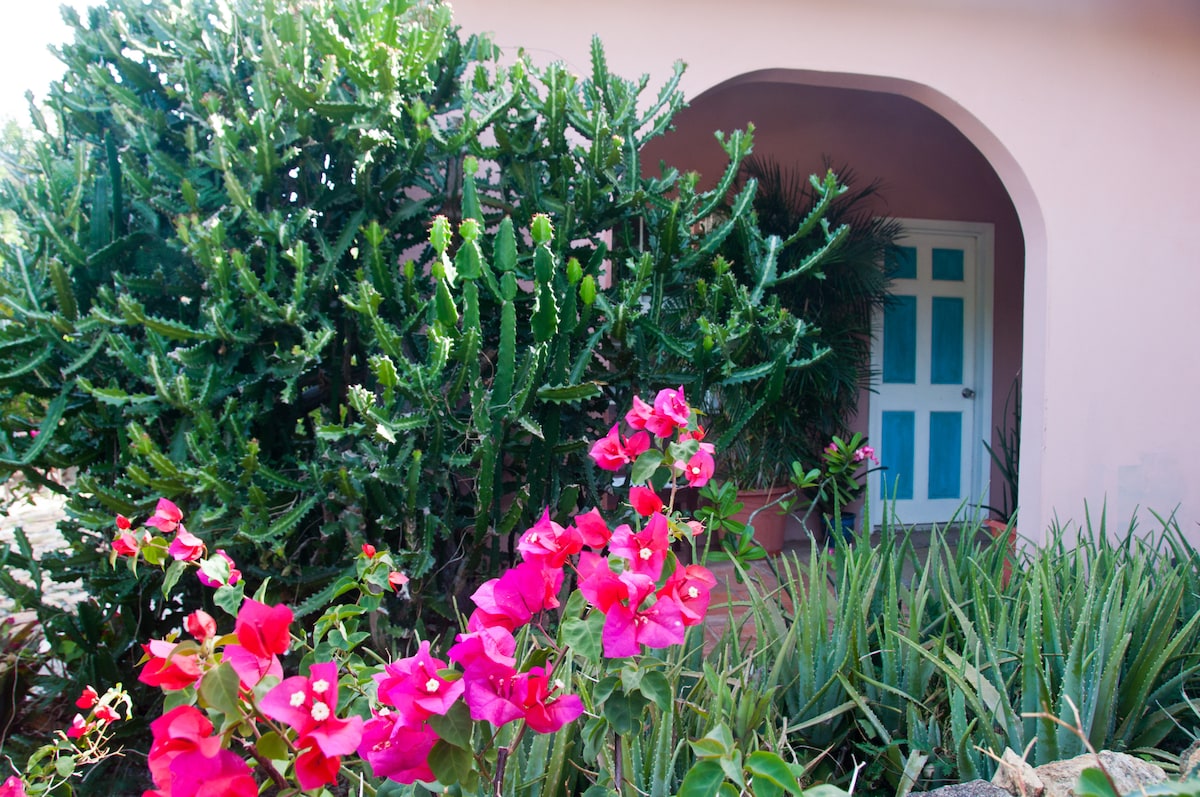 Top performing Airbnb: Mar Brisa in Charlotte Amalie West