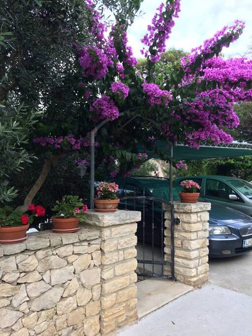 Entrance from the road