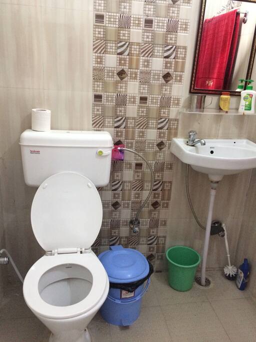english style toilet