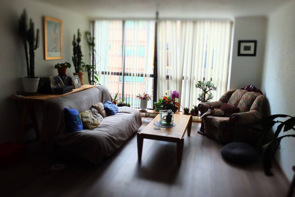 Sala