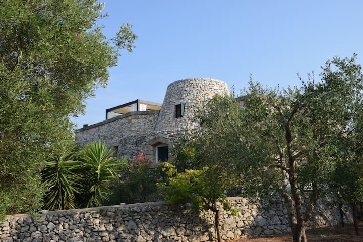 luxury villa with pool and sea view