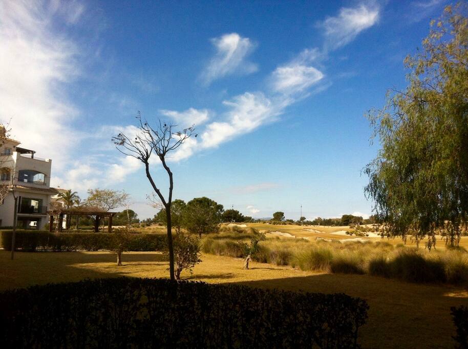 View from back yard
