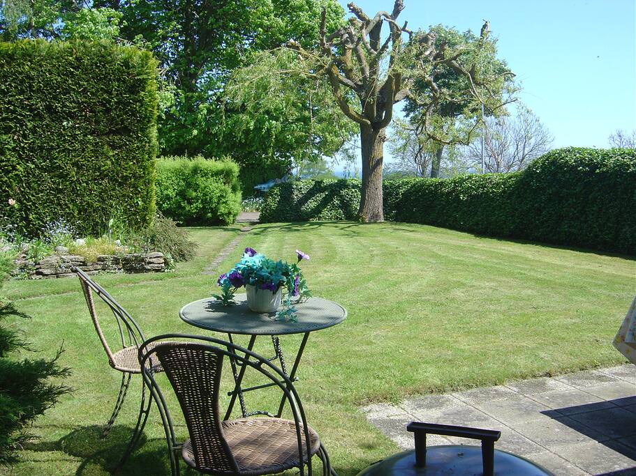 Garden with lawn
