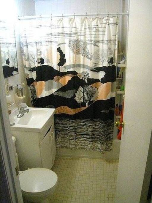 This is the main bathroom... 1 of 2!