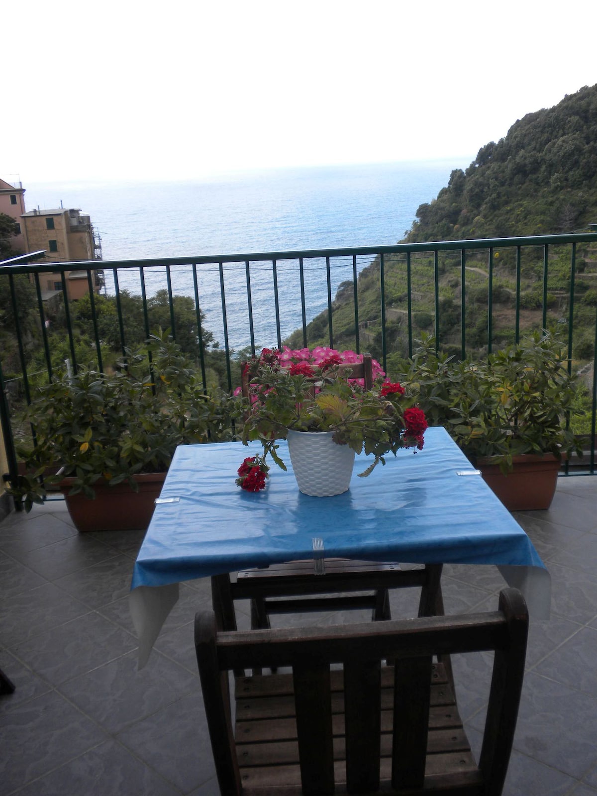 Pele 3 Sea View Park Free Wifi Free Cinqueterre Apartments for Rent