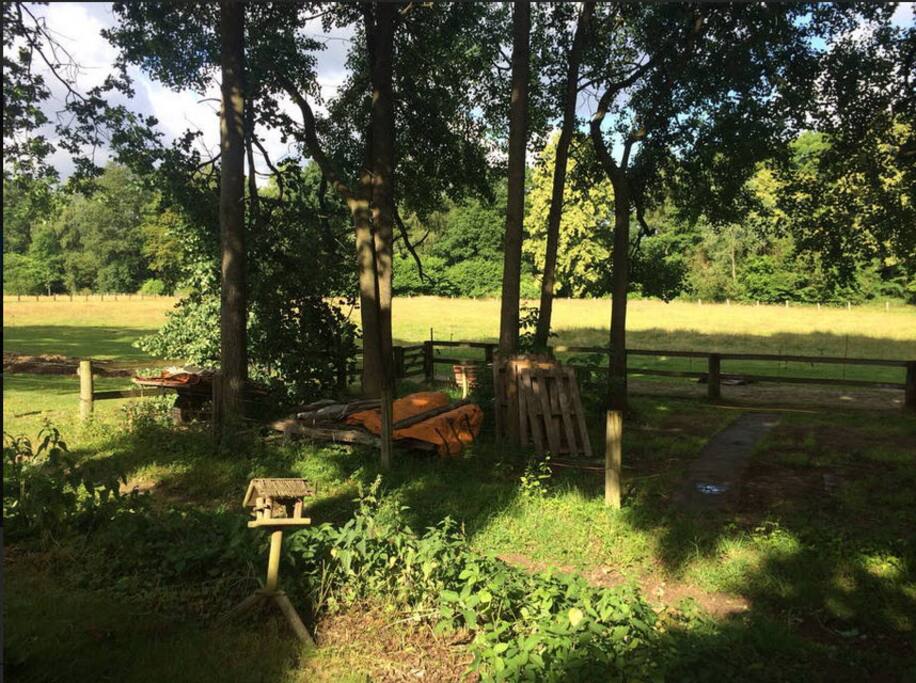 Ausblick von Terrasse u. Esszimmer