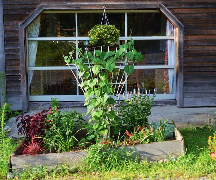 Top 10 PetFriendly Airbnbs In Vermont, USA Updated 2024 Trip101