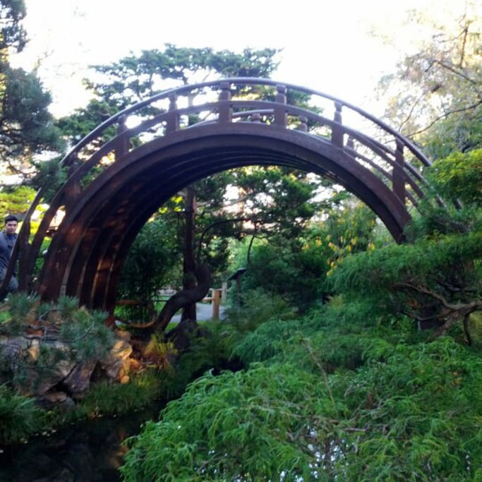 Photo of Japanese Tea Garden