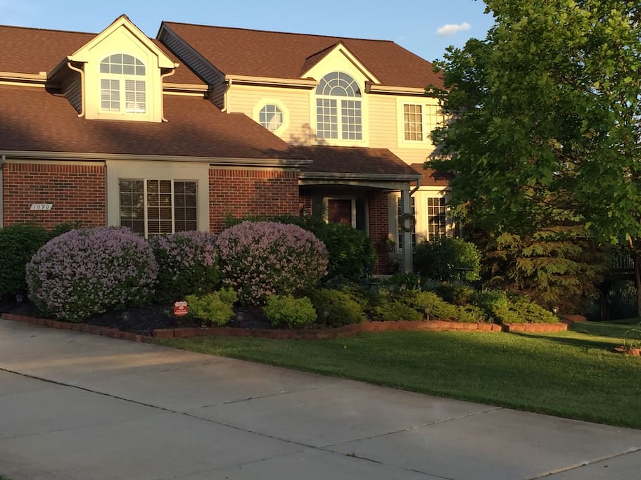Lilacs blooming in the spring