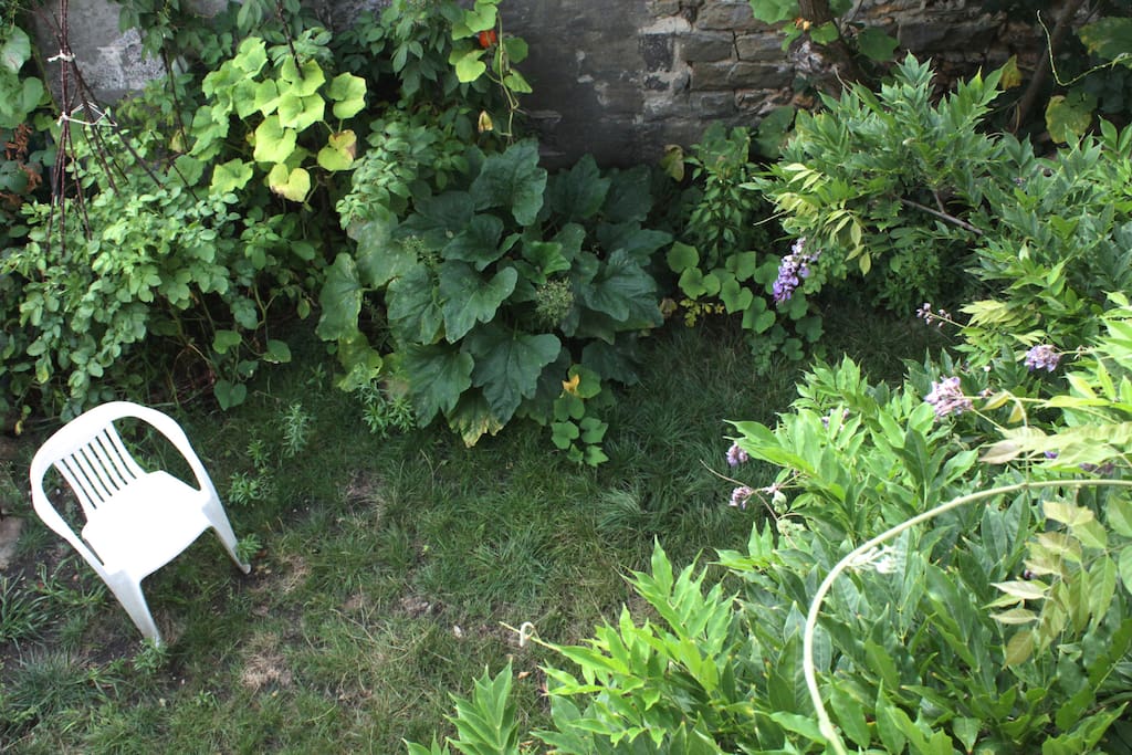 Jardin vue de la chambre