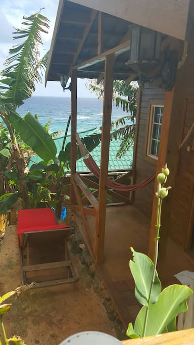 View from Patio