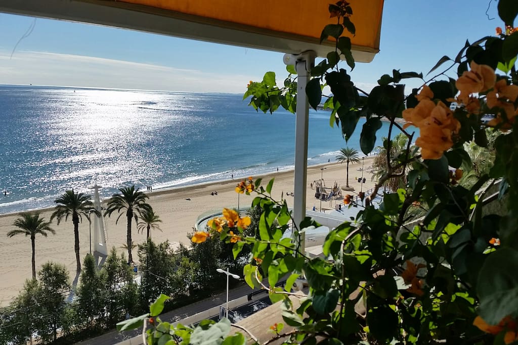 La vista desde la terraza