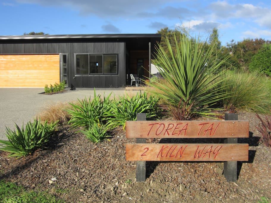 Torea Tai (Maori name for the Black Oyster catcher found on the beach)