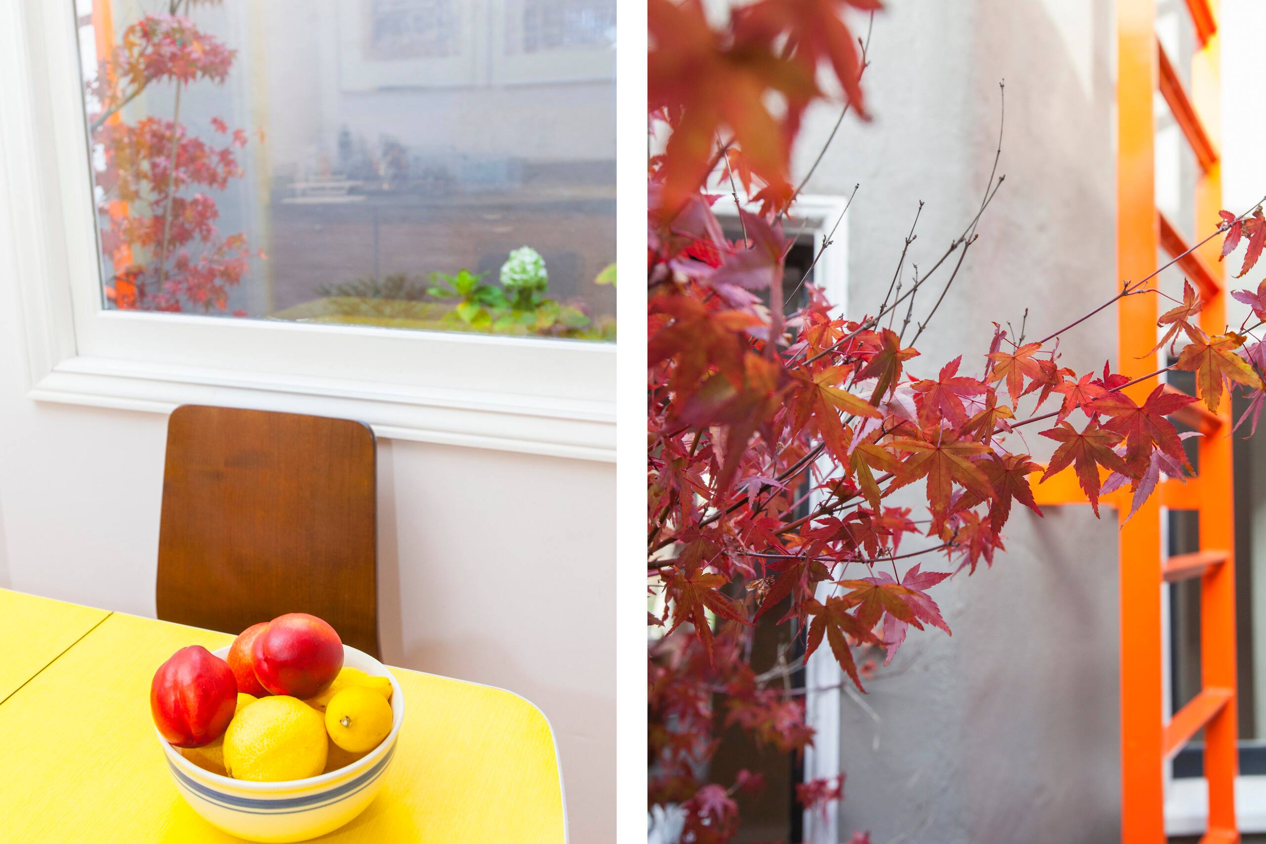 Home in San Francisco · ★4.96 · 3 bedrooms · 3 beds · 2 baths - Image 14